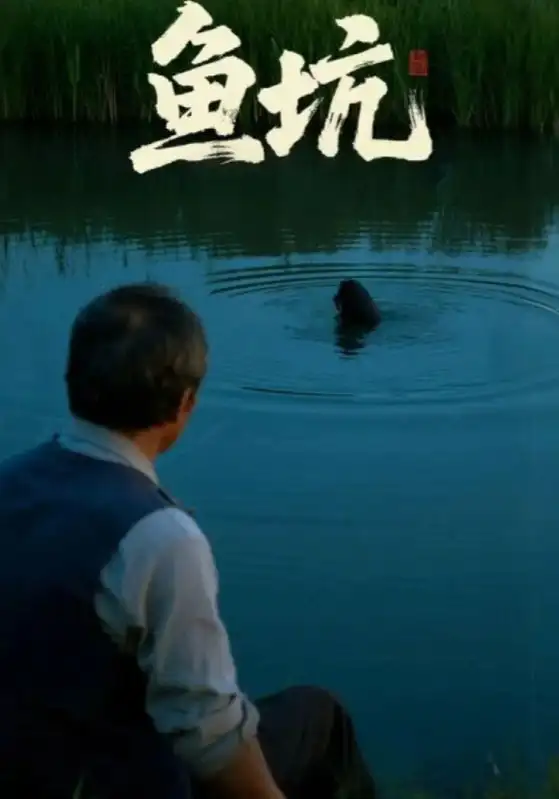 短剧《鱼坑》全集免费在线观看