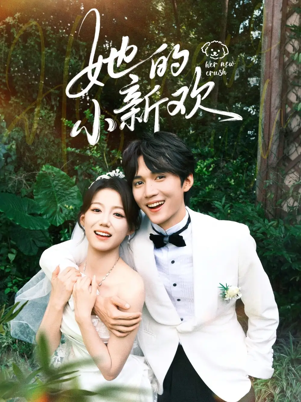 短剧《她的小新欢》全集免费在线观看