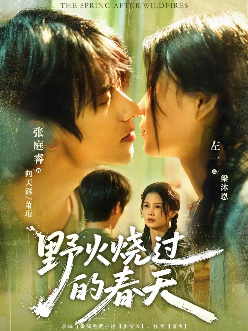 短剧《野火烧过的春天》全集免费在线观看