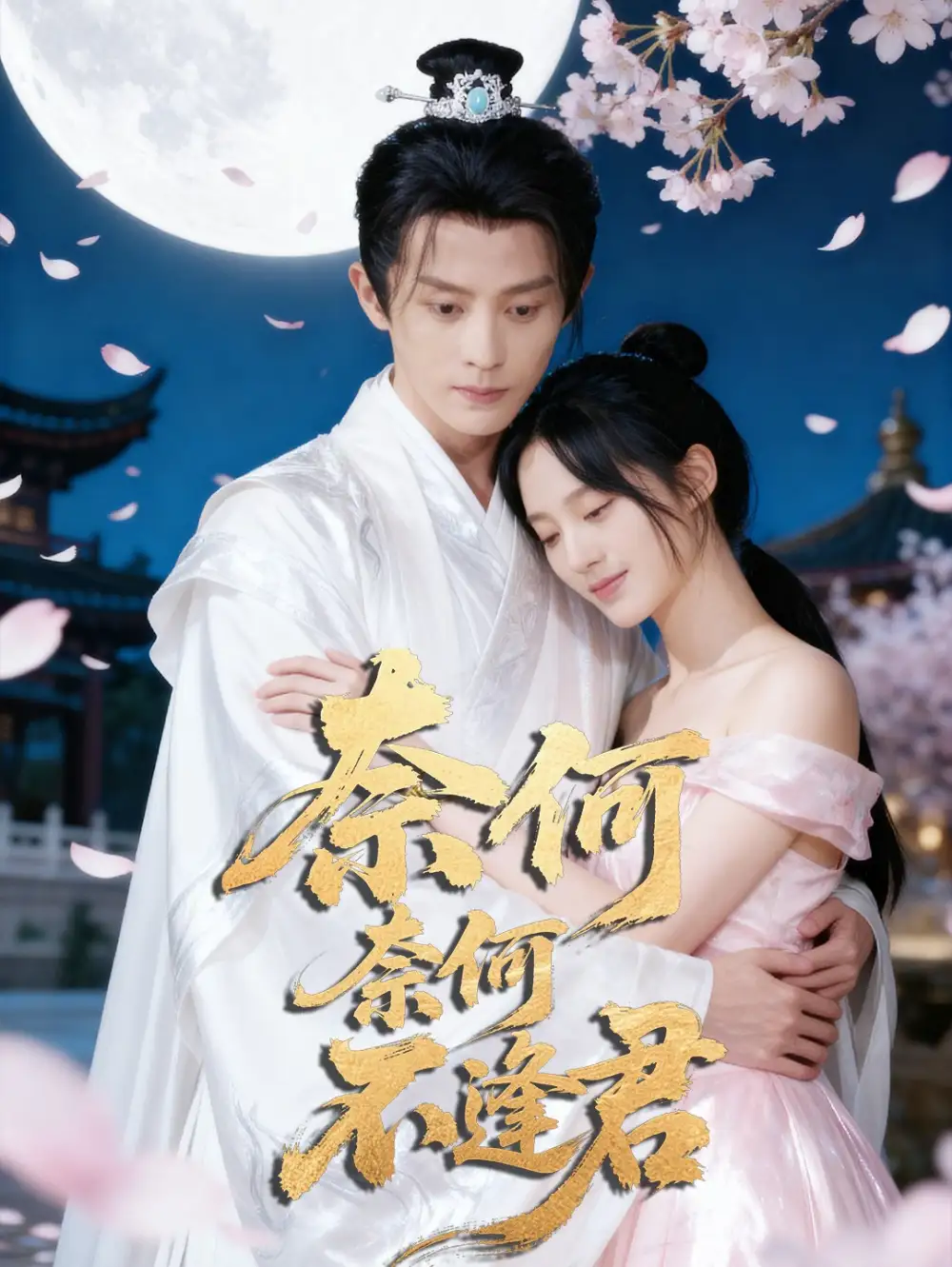 短剧《奈何奈何不逢君》全集免费在线观看