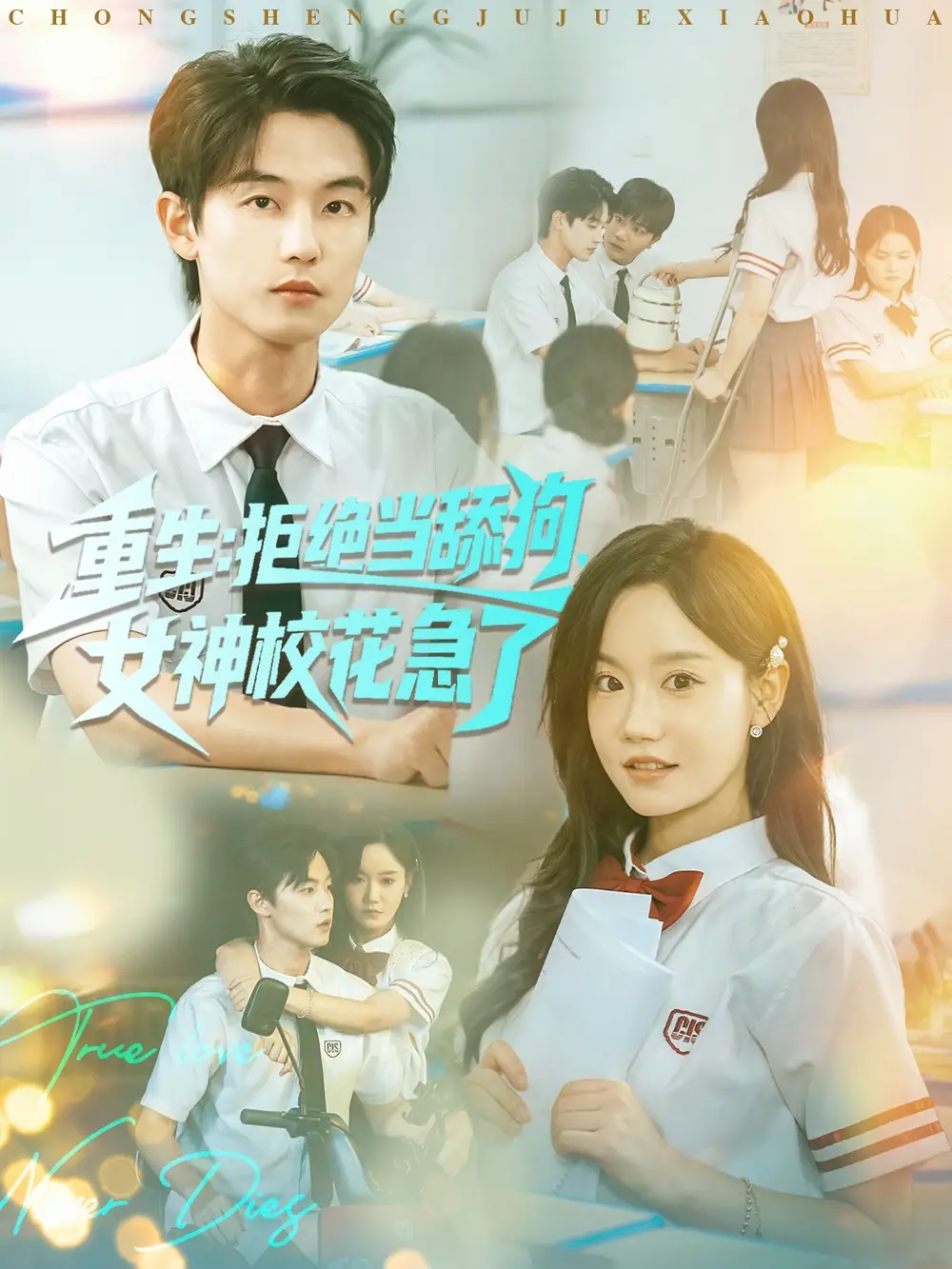 短剧《重生拒绝当舔狗女神校花急了》全集免费在线观看