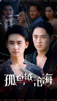 短剧《孤鸟越沧海》全集免费在线观看