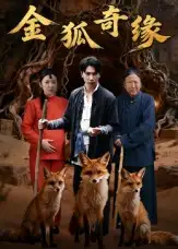 短剧《金狐奇缘》全集免费在线观看