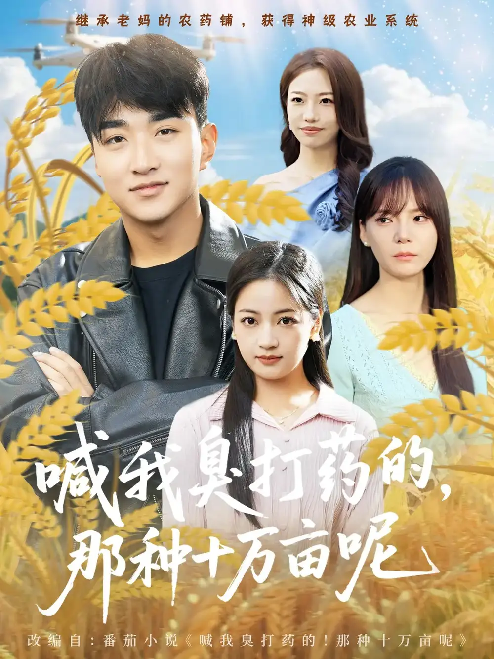 喊我臭打药的，那种十万亩呢（84集）孟天音&王必可海报
