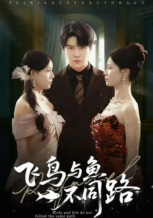 短剧《飞鸟与鱼不同路》全集免费在线观看