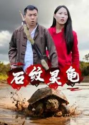 短剧《石纹灵龟》全集免费在线观看