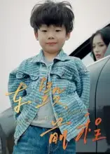 短剧《车毁前程》全集免费在线观看