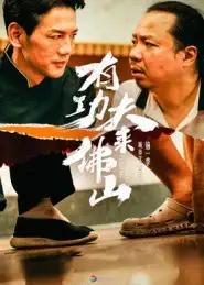 短剧《有功夫来佛山》全集免费在线观看