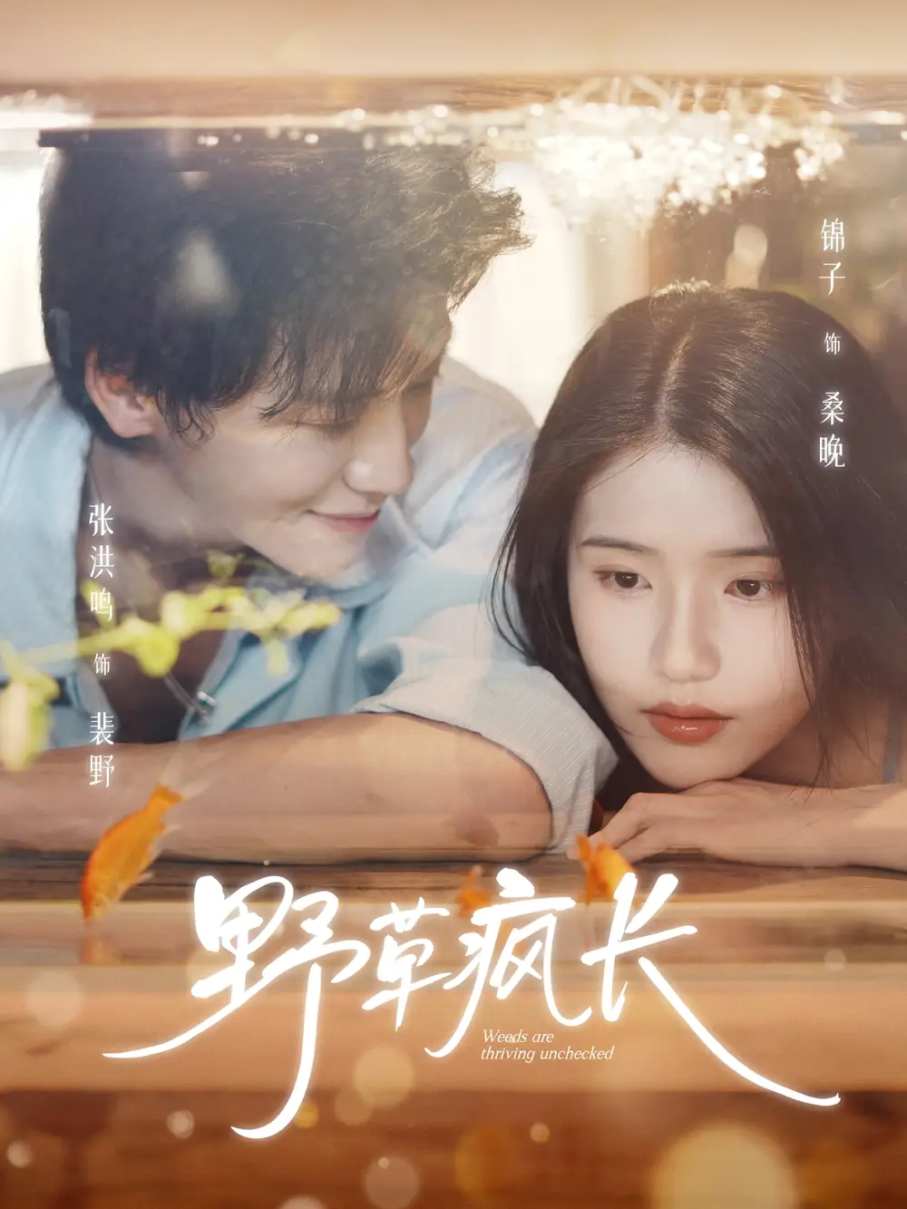 短剧《野草疯长》全集免费在线观看