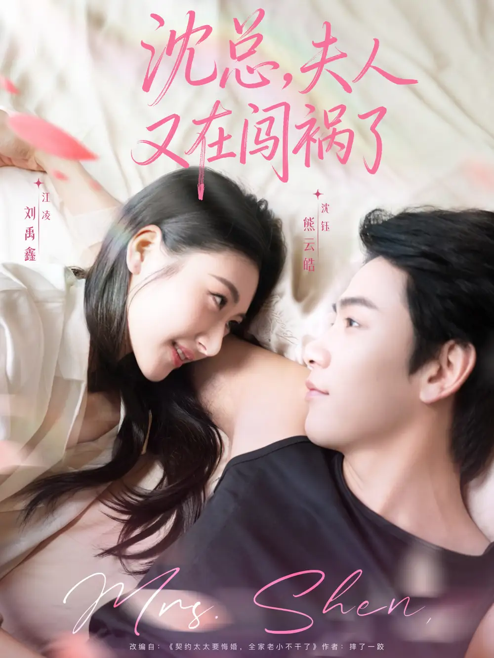 短剧《沈总，夫人又在闯祸了》全集免费在线观看