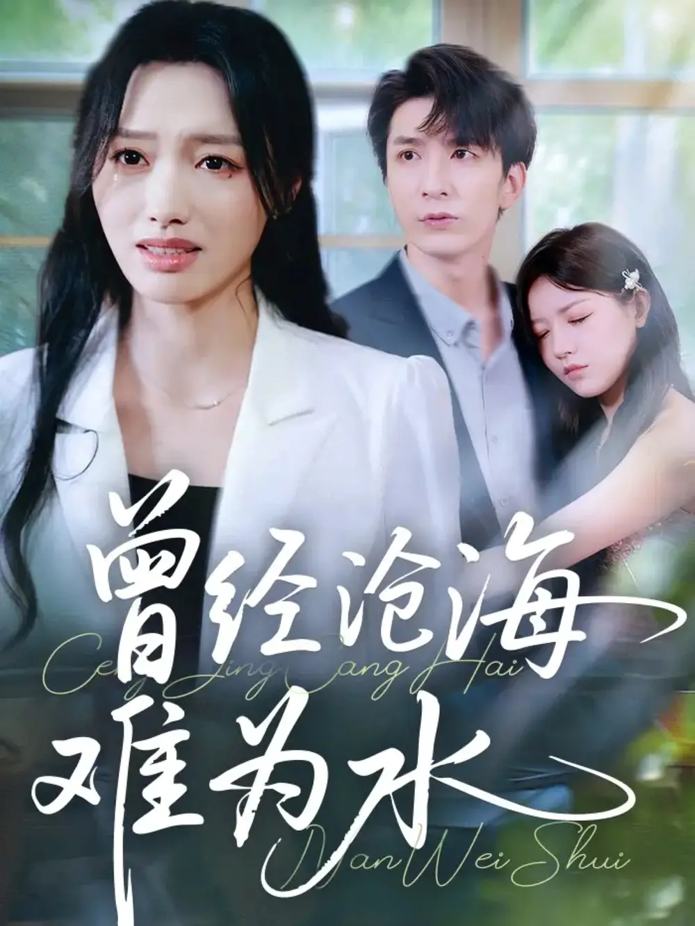 短剧《曾经沧海难为水》全集免费在线观看