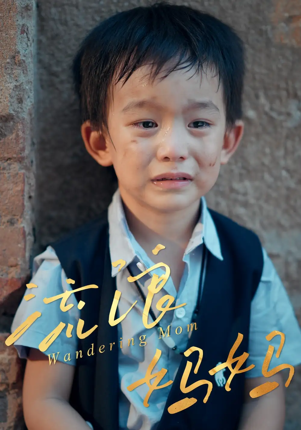 短剧《流浪妈妈》全集免费在线观看