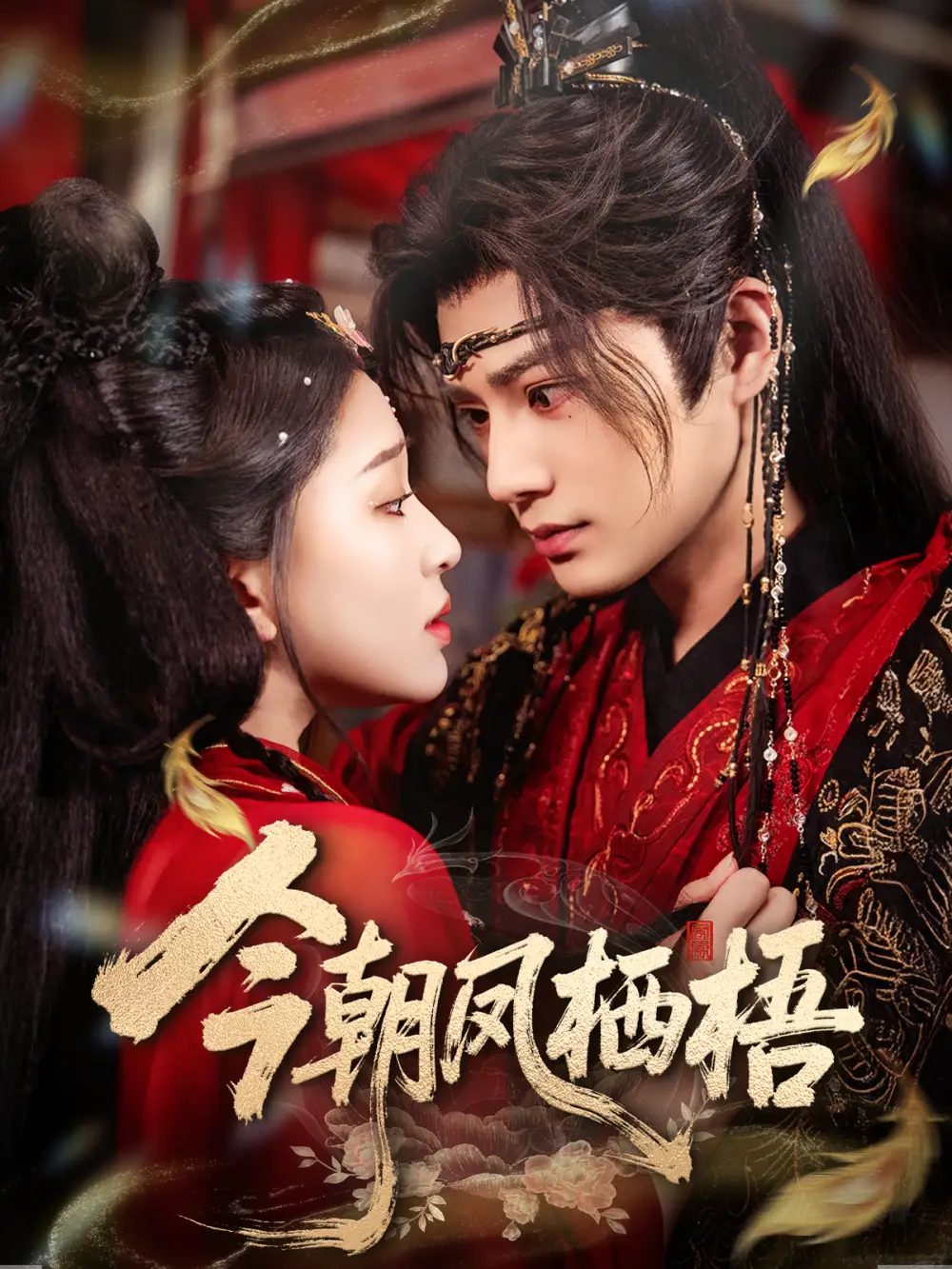 短剧《今朝凤栖梧》全集免费在线观看