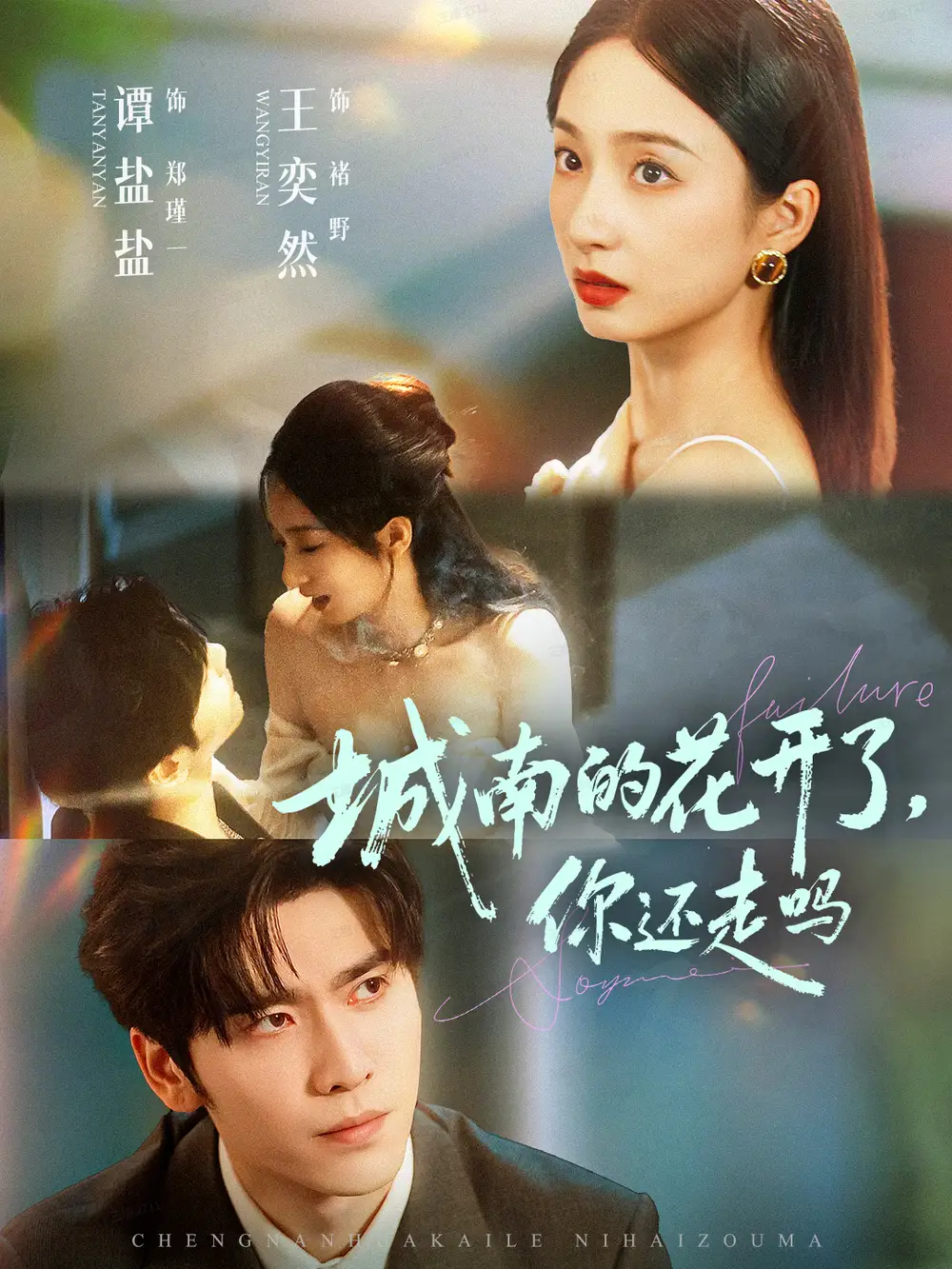 短剧《城南的花开了，你还走吗》全集免费在线观看