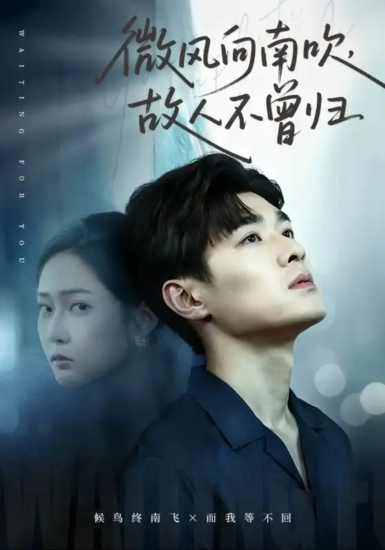 短剧《微风向南吹，故人不曾归》全集免费在线观看