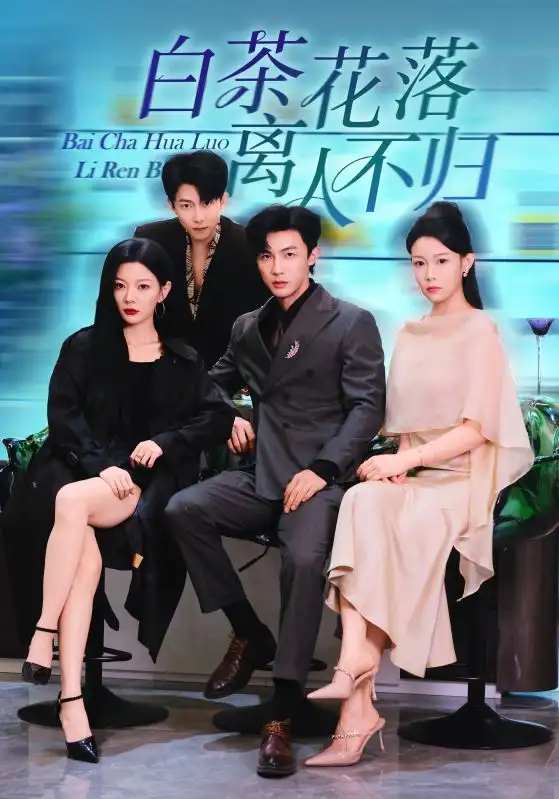 短剧《白茶花落离人》全集免费在线观看