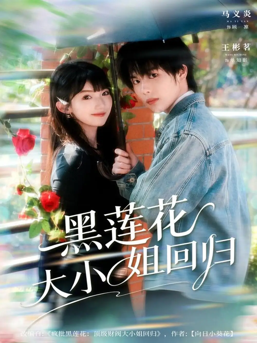 黑莲花大小姐回归(80集)马义炎&王彬茗高清海报图片 黑莲花大小姐回归(80集)马义炎&王彬茗海报