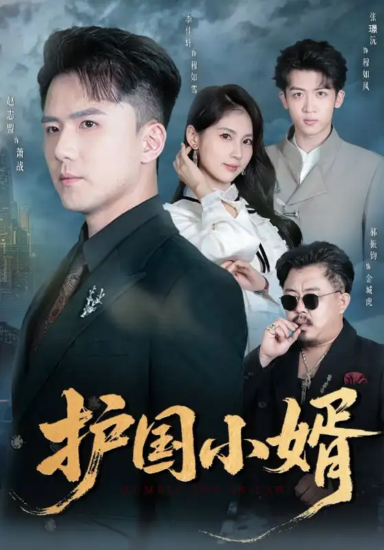 短剧《护国小婿》全集免费在线观看